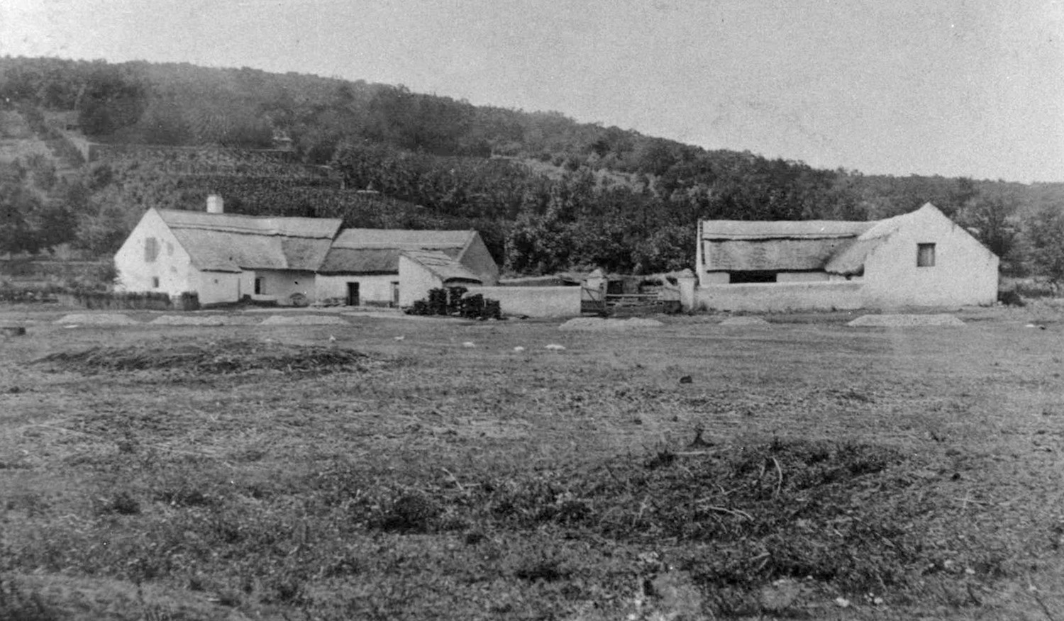 Határ Csárda (Torgyöpi)