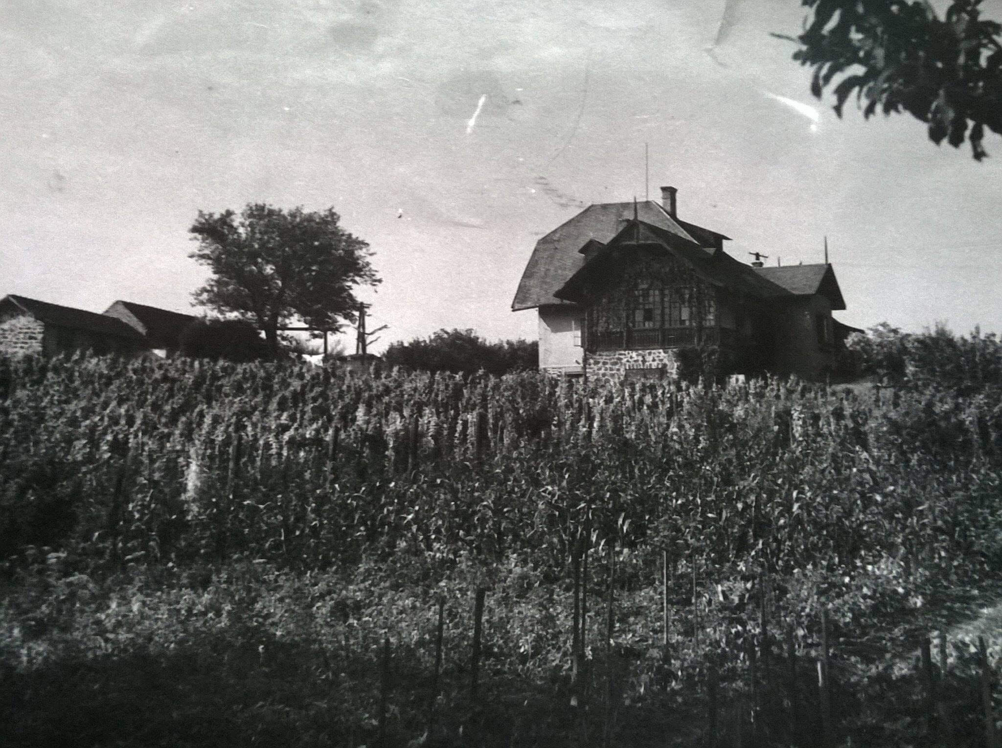 Ifftsits villa
