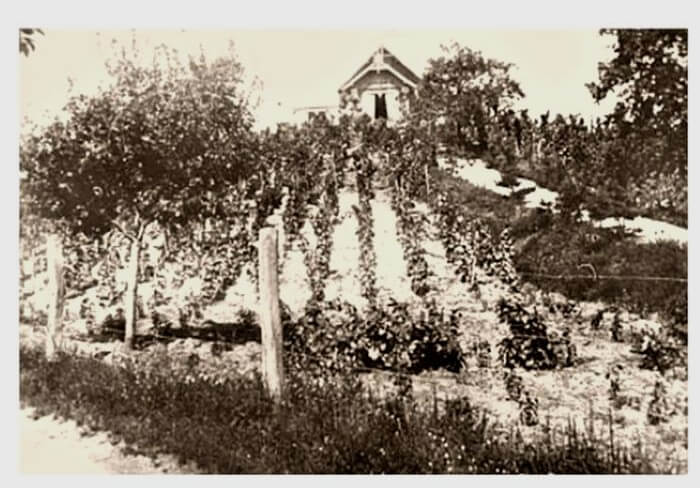 Kompolthy Joób villa