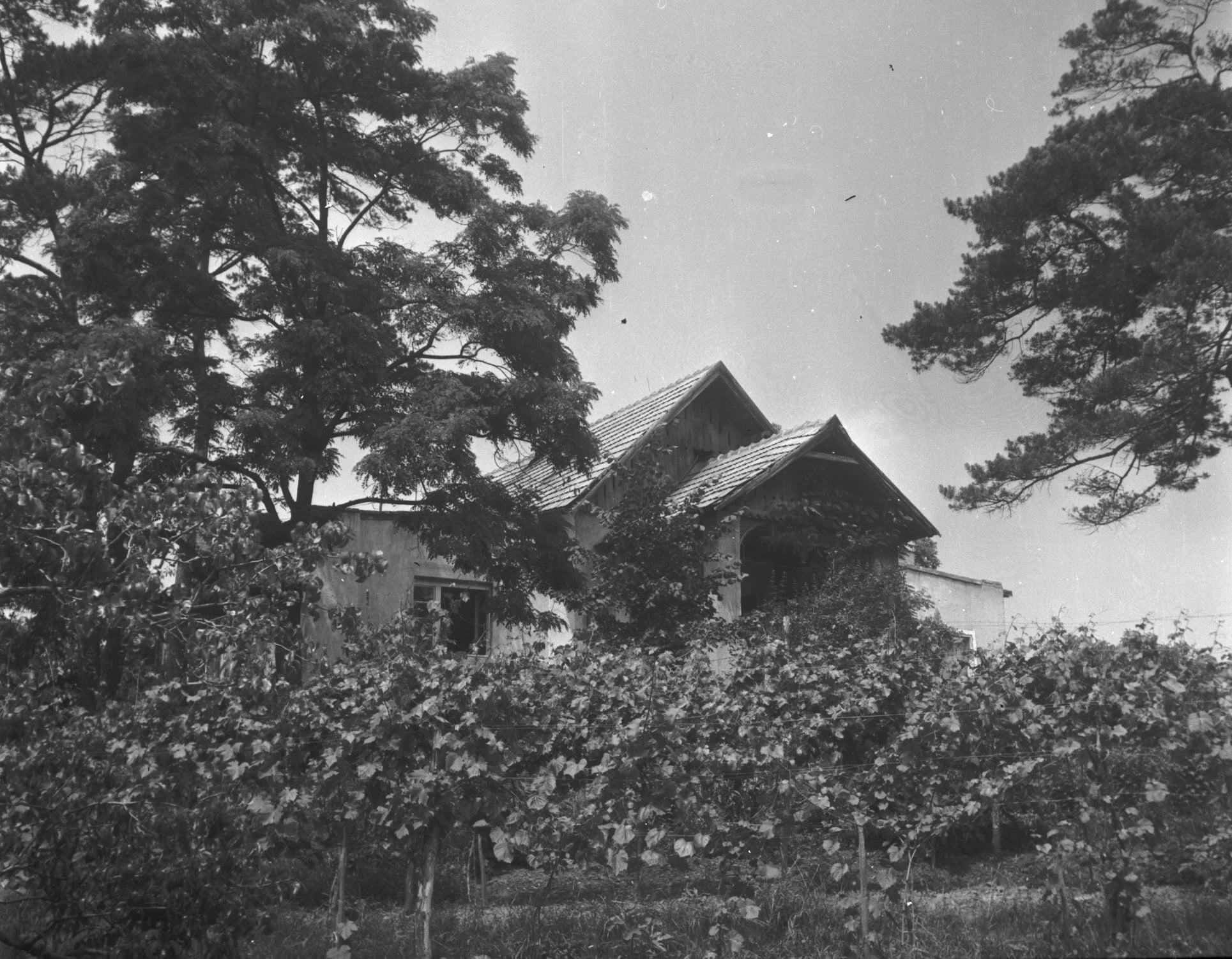 Kompolthy Joób villa