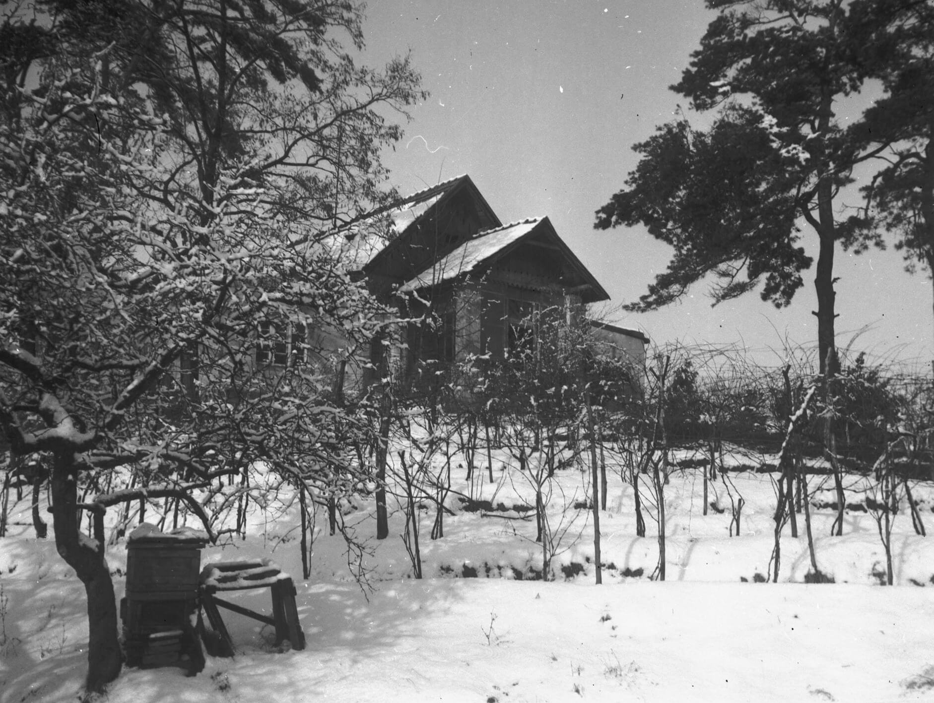 Kompolthy Joób villa
